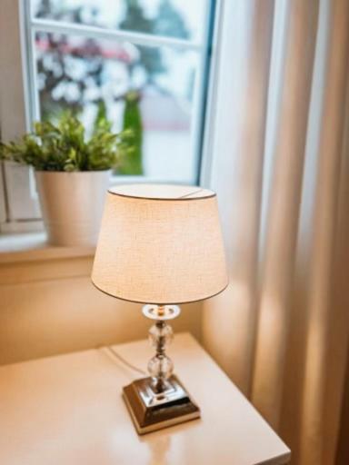 Apartment Fin, Nyoppusset Studioleilighet Med Gratis Parkering Og El-lading *