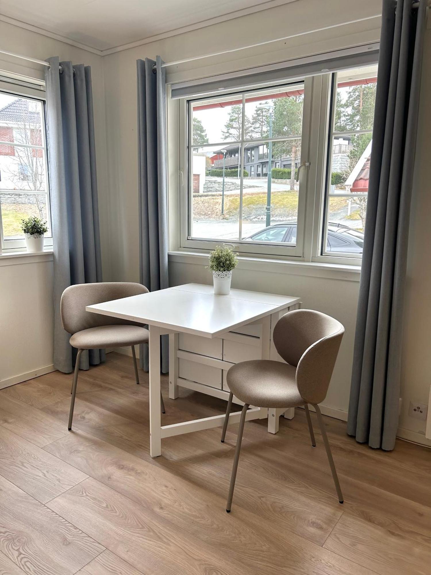 Fin, Nyoppusset Studioleilighet Med Gratis Parkering Og El-lading Appartement