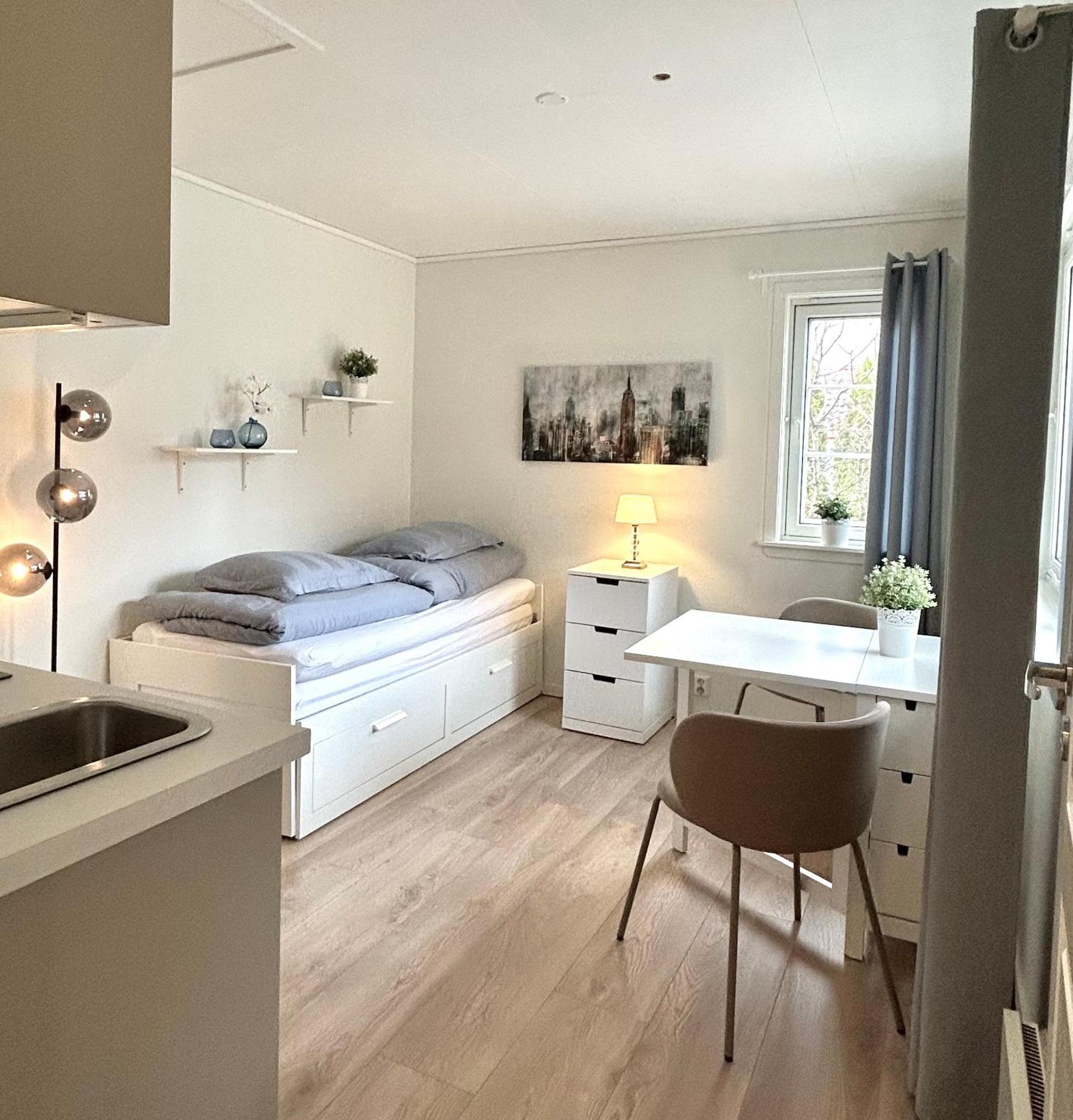 Fin, Nyoppusset Studioleilighet Med Gratis Parkering Og El-lading Apartment *